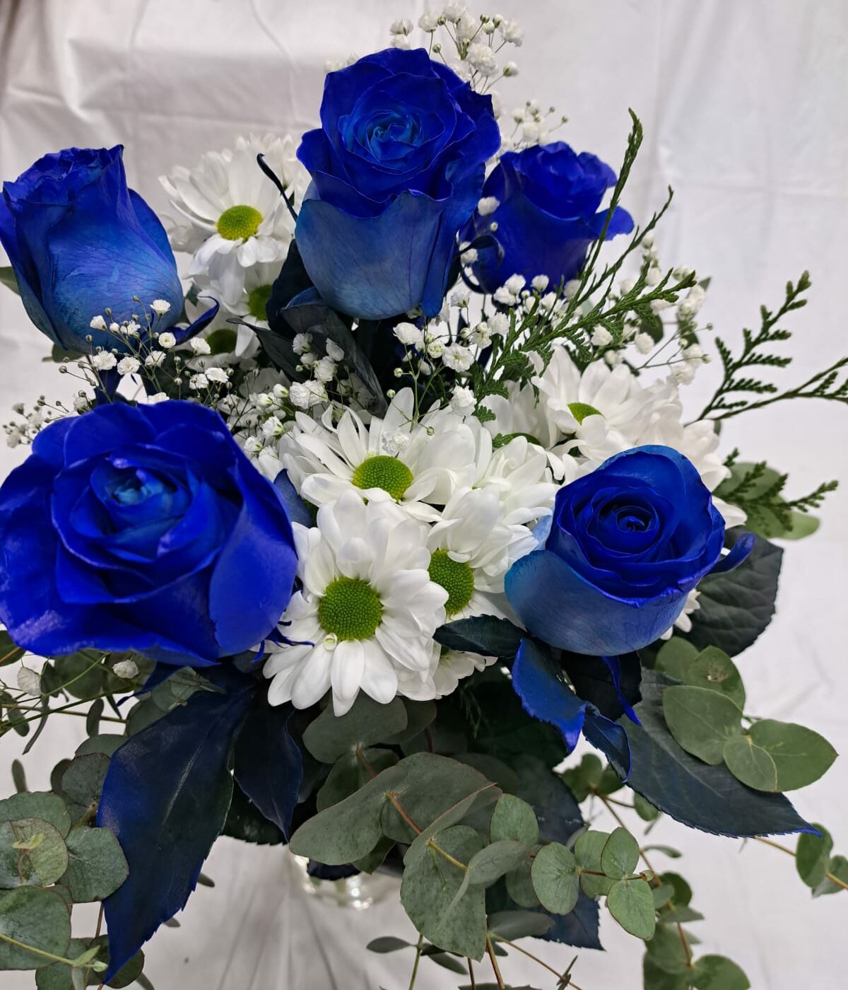 Ramo Blue